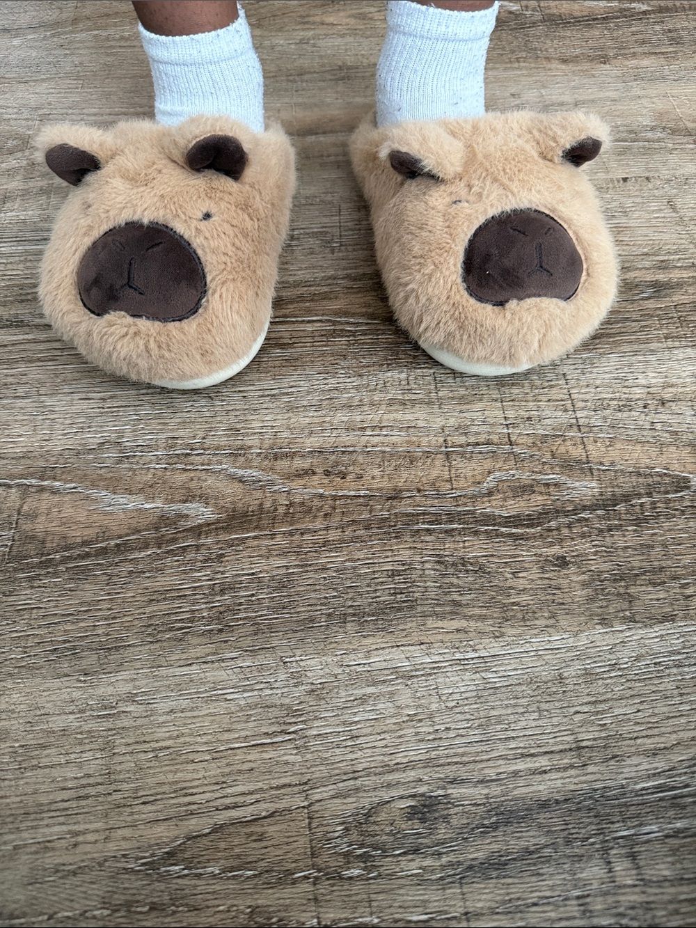 Plush Bear Face Slippers in Tan